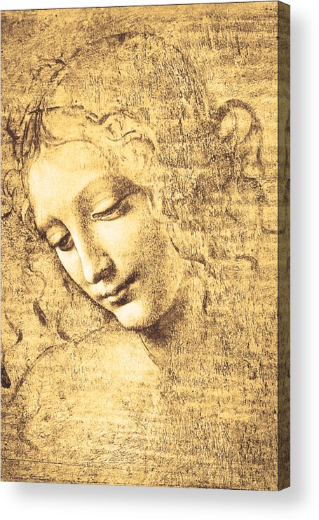 Leonardo Da Vinci Acrylic Print featuring the painting Testa di fanciulla detta la scapigliata by Leonardo Da Vinci