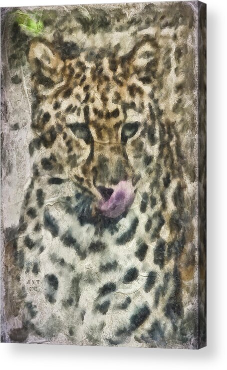 Cat Acrylic Print featuring the photograph That Was Delicious by Trish Tritz
