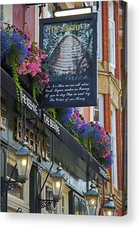 The Beehive Acrylic Print featuring the photograph The Beehive by Cheri Randolph