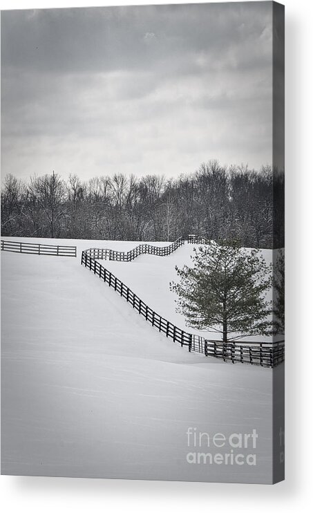 Beautiful Acrylic Print featuring the photograph The Color Of Winter - BW by Mary Carol Story