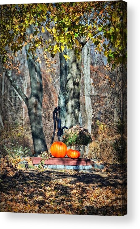 Nature Acrylic Print featuring the photograph The Colors Of November by Tricia Marchlik