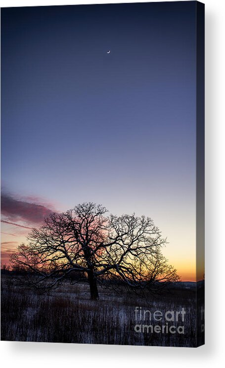 Crescent Moon Acrylic Print featuring the photograph The Edge Of Space by Dan Hefle