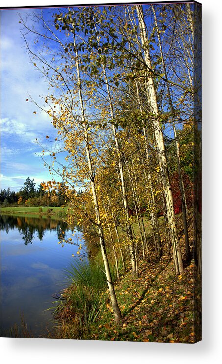 Fall Acrylic Print featuring the photograph The End of the Season by Jerry Cahill