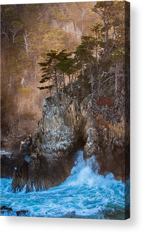Nature Acrylic Print featuring the photograph The Enemy at the Wall by W Chris Fooshee