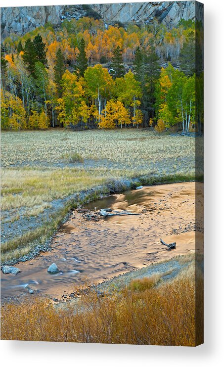 Landscape Acrylic Print featuring the photograph The Golden Stream by Jonathan Nguyen