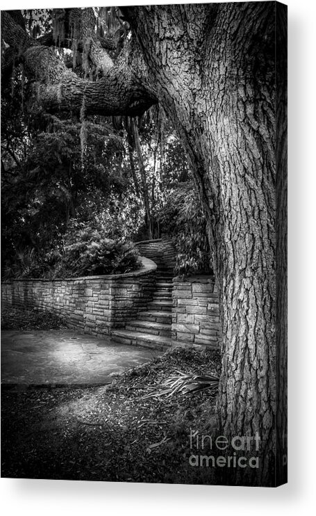 Concrete Steps Acrylic Print featuring the photograph The Hidden Steps 1 by Marvin Spates