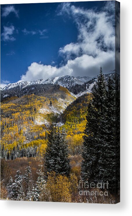 Aspen Trees Acrylic Print featuring the photograph The Hills are Alive by Jim McCain