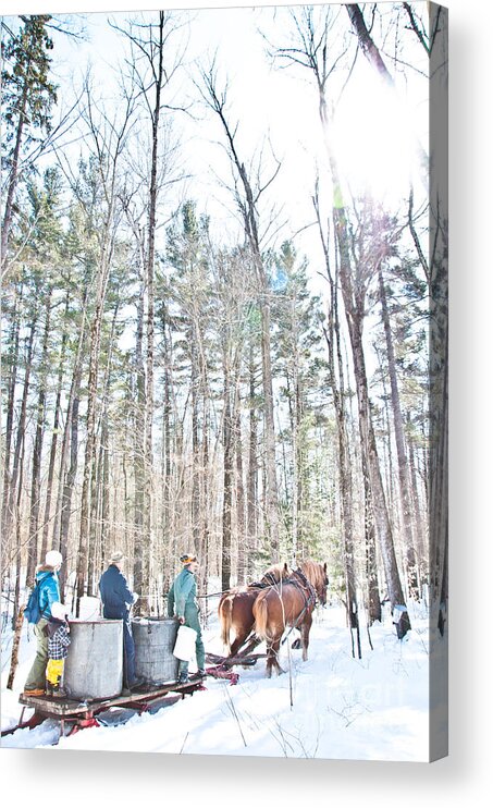 Maple Syrup Acrylic Print featuring the photograph The Old Ways by Cheryl Baxter