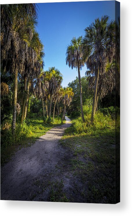 Phillippe Park Acrylic Print featuring the photograph The Palm Trail by Marvin Spates