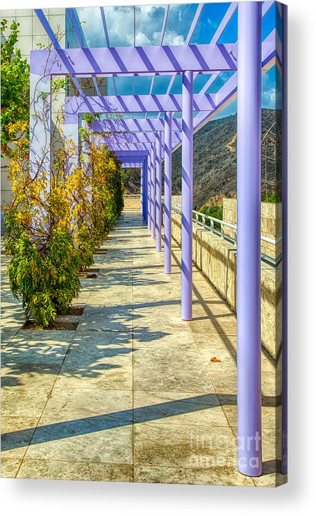 Trellis Acrylic Print featuring the photograph The Purple Trellis by Mimi Ditchie