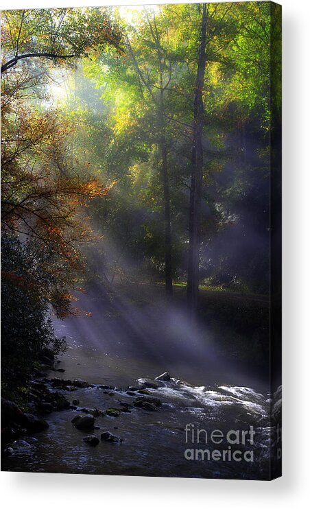 River Scene Acrylic Print featuring the photograph The River's Embrace by Michael Eingle