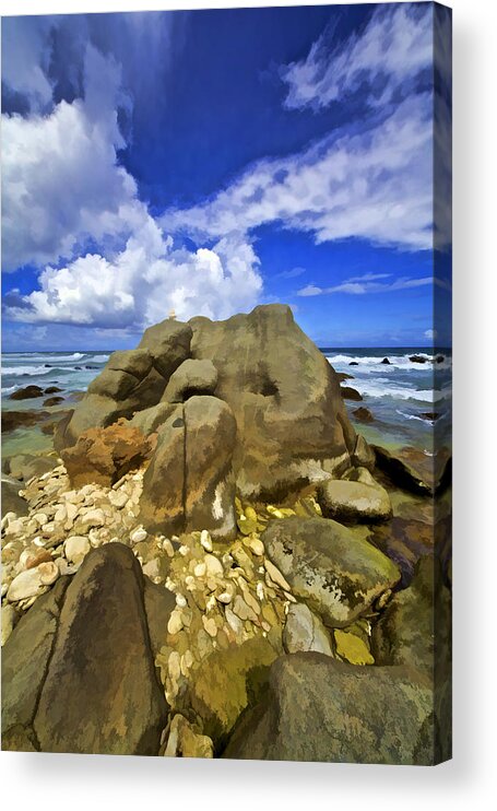 Abc Islands Acrylic Print featuring the photograph The Rough Side of Aruba VI by David Letts
