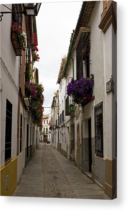 Cordoba Acrylic Print featuring the photograph Street Of Flower Boxes by Lorraine Devon Wilke