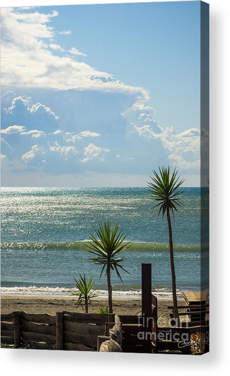 Three Palms Acrylic Print featuring the photograph The Three Palms by Prints of Italy