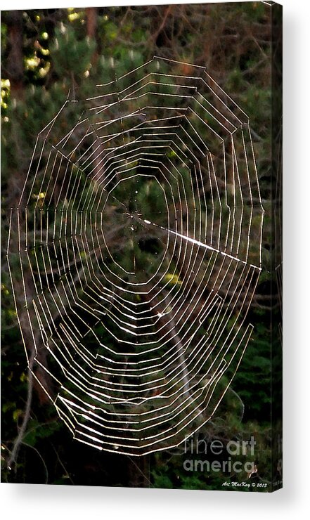 Web Acrylic Print featuring the photograph The Web by Art MacKay