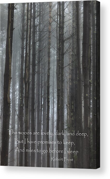 The Woods Acrylic Print featuring the photograph The Woods by Bill Wakeley