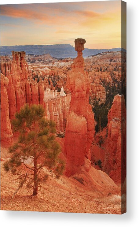 Bryce Canyon Acrylic Print featuring the photograph Thor's Hammer in the Bryce Canyon Amphitheater by Alan Vance Ley