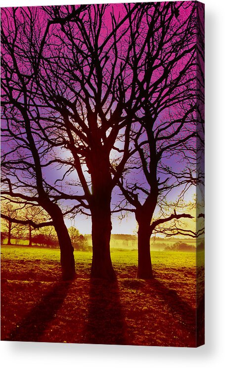 Landscape Acrylic Print featuring the digital art Three Trees by David Davies