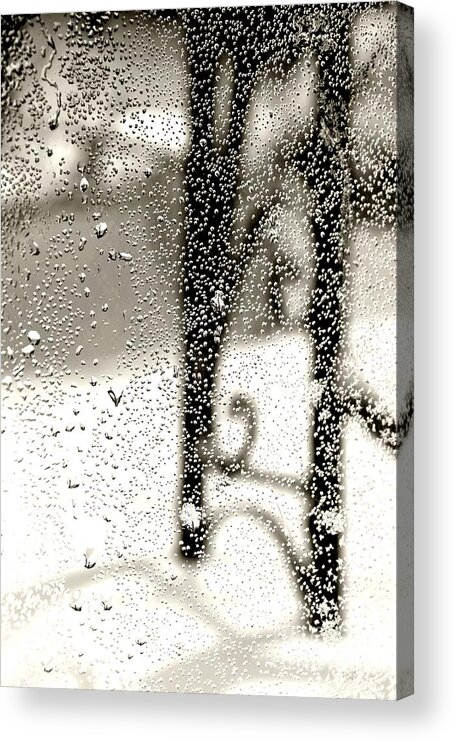 Rain Acrylic Print featuring the photograph Through the Raindrops by Bonnie Myszka