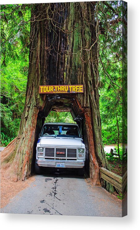 Tour Thru Tree Acrylic Print featuring the photograph Tight Fit by Tikvah's Hope