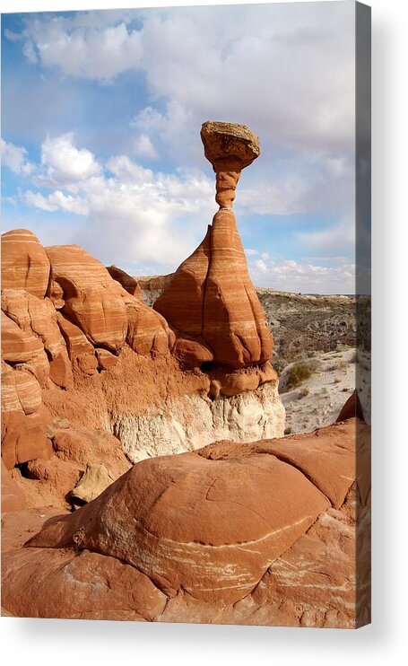 Paria Rimrocks Acrylic Print featuring the photograph Toadstool Trail 2 by David Beebe