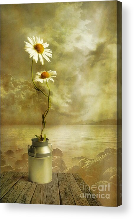 Art Acrylic Print featuring the photograph Together by Veikko Suikkanen