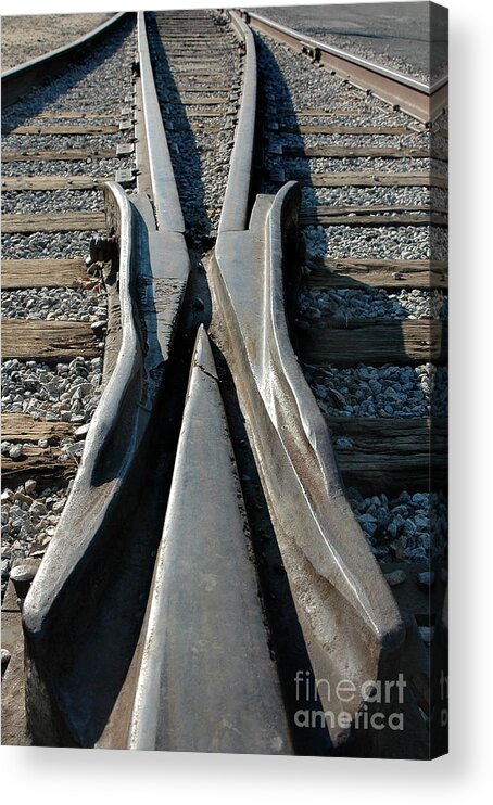 Railroad Acrylic Print featuring the photograph Tracks by Dan Holm