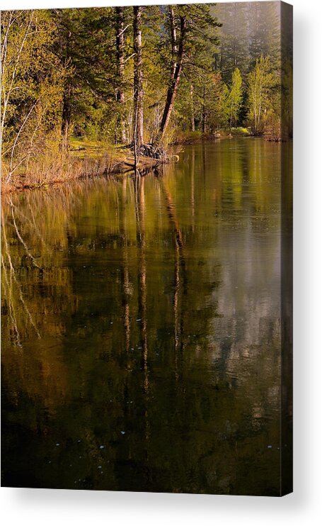 Yosemite National Park Acrylic Print featuring the photograph Tranquil Merced River by Duncan Selby