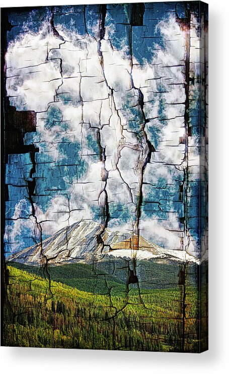Lincoln Rogers Acrylic Print featuring the photograph Tree Bark Mountain Tapestry by Lincoln Rogers
