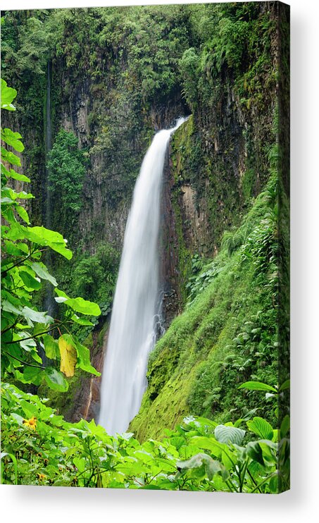Tropical Rainforest Acrylic Print featuring the photograph Tropical Waterfall Framed By Lush by Ogphoto
