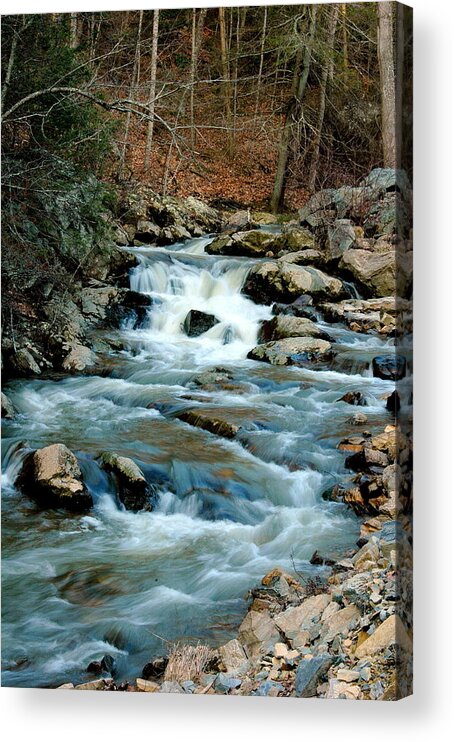 Trout Stream Water Nature Conervation Acrylic Print featuring the photograph Trout Stream by David Brown