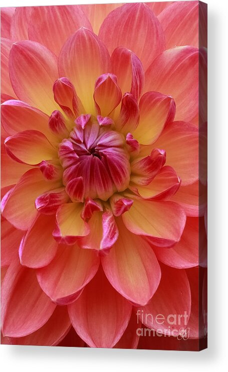 Floral Acrylic Print featuring the photograph True Beauty by Geri Glavis