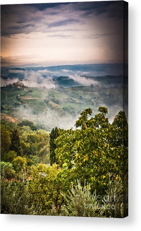 Countryside Acrylic Print featuring the photograph Tuscan view by Silvia Ganora
