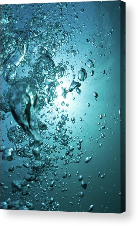 Underwater Acrylic Print featuring the photograph Underwater by Mutlu Kurtbas