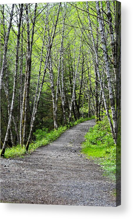 Landscape Acrylic Print featuring the photograph Up the Trail by Cathy Mahnke