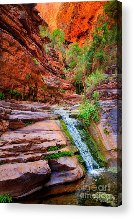 America Acrylic Print featuring the photograph Upper Elves Chasm Cascade by Inge Johnsson