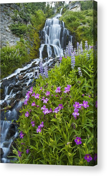 Photography Acrylic Print featuring the photograph Vidae Falls and Flowers by Lee Kirchhevel