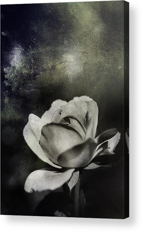 Grunge Acrylic Print featuring the digital art Vintage Roses by Sylvie Corriveau