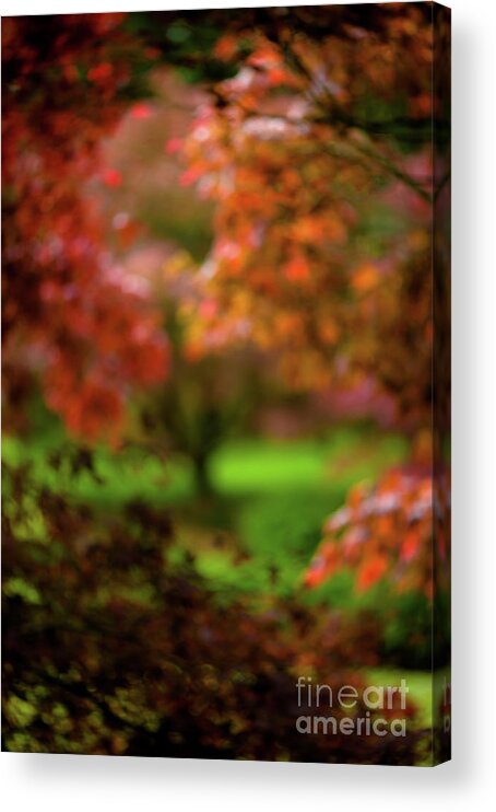 Abstract Acrylic Print featuring the photograph Visions of Leaves by Venetta Archer