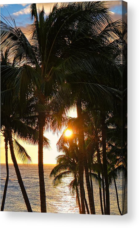 Hawaii Acrylic Print featuring the photograph Waikoloa Palms by Lars Lentz