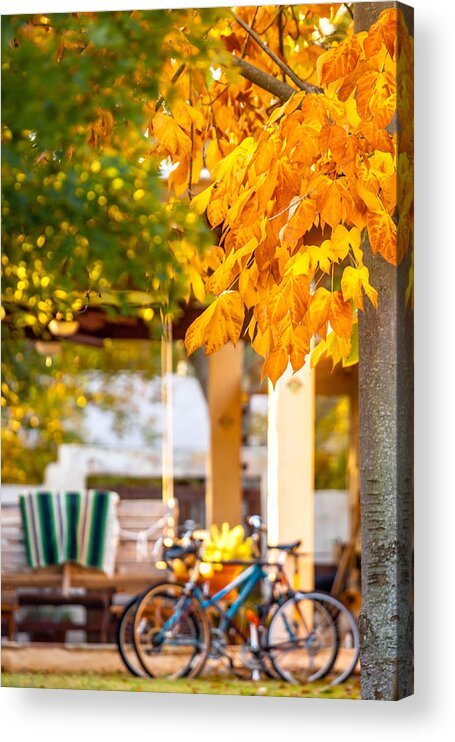 Autumn Acrylic Print featuring the photograph Waiting For A Ride by Melinda Ledsome