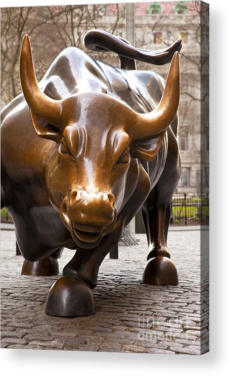 New York Acrylic Print featuring the photograph Wall Street Bull by Brian Jannsen