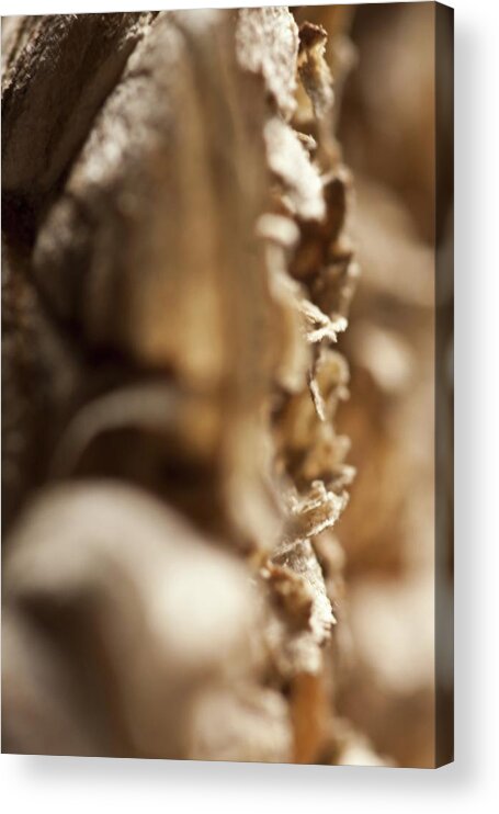 Conceptual Acrylic Print featuring the photograph Wasp Nest by Kb White
