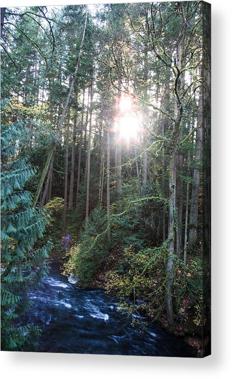 Bellingham Acrylic Print featuring the photograph Whatcom Creek by Judy Wright Lott