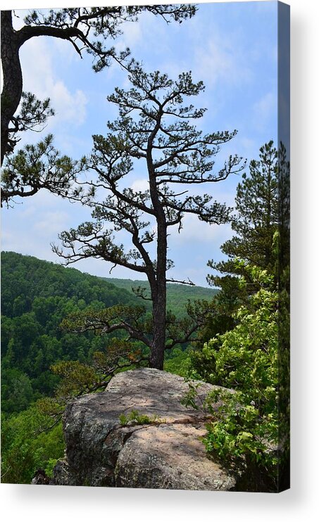 Whitaker Point Acrylic Print featuring the photograph Whitaker Point Trail by Laureen Murtha Menzl