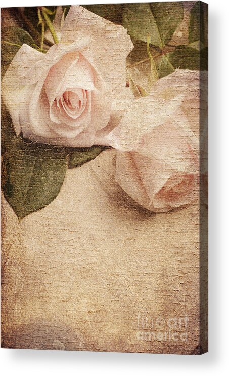 Roses Acrylic Print featuring the photograph White Roses by Jelena Jovanovic