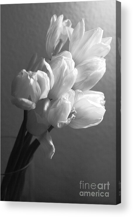 Tulips Acrylic Print featuring the photograph White Tulip Bouquet by Rebecca Cozart