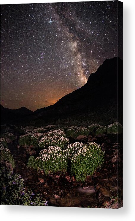 Tranquility Acrylic Print featuring the photograph Wildflower Runoff Under The Stars by Mike Berenson / Colorado Captures