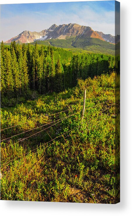 Wilson Acrylic Print featuring the photograph Wilson Peak in Summer by Aaron Spong