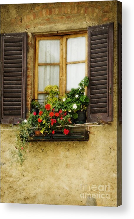 Flower Pots In Window With Brown Shutters In Florence Italy Acrylic Print featuring the photograph Window in Florence by Jim Calarese